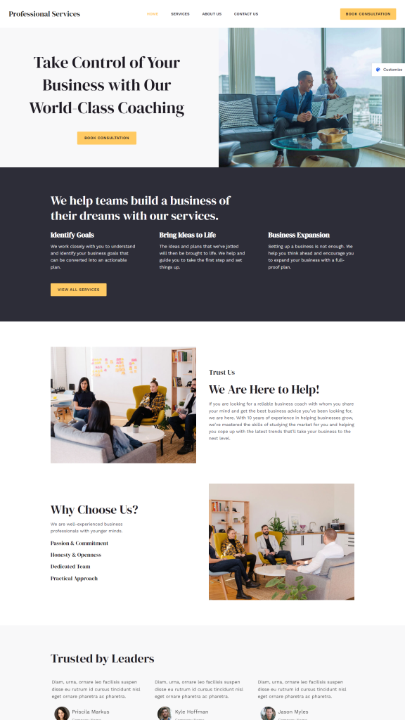Professional Services